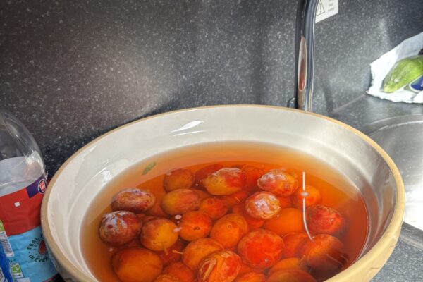 Cleaning the plums
