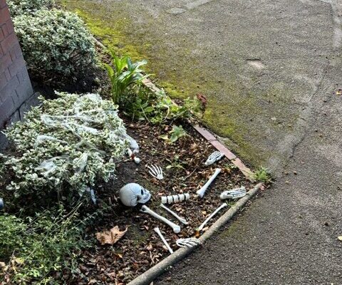 Bones On The Driveway!