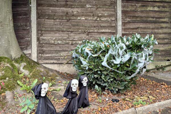 Spooky Skeletons